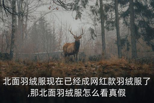 北面羽絨服現(xiàn)在已經(jīng)成網(wǎng)紅款羽絨服了,那北面羽絨服怎么看真假