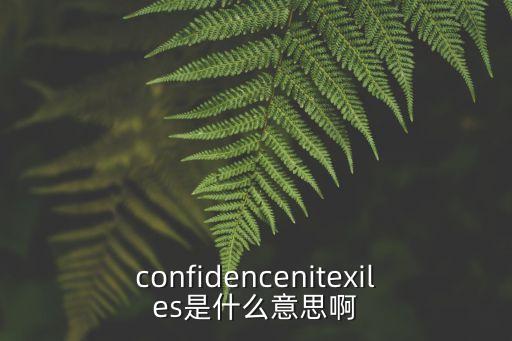 confidencenitexiles是什么意思啊