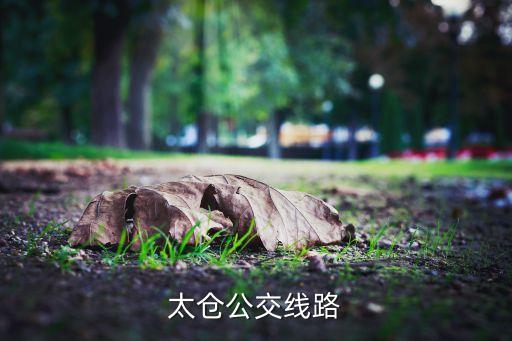 太倉公交線路