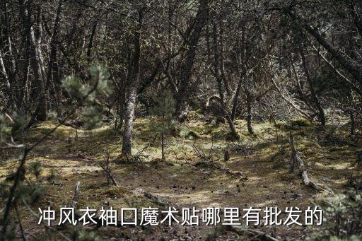 沖風(fēng)衣袖囗魔術(shù)貼哪里有批發(fā)的
