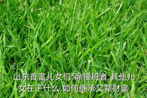 山東魏橋紡織股份有限公司上市了嗎