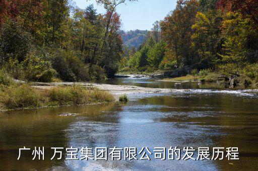 廣州 萬寶集團(tuán)有限公司的發(fā)展歷程