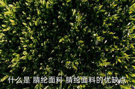 什么是 腈綸面料 腈綸面料的優(yōu)缺點(diǎn)