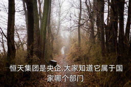  恒天集團(tuán)是央企,大家知道它屬于國家哪個(gè)部門