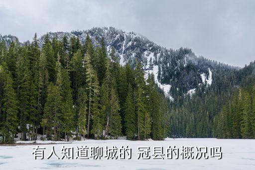 有人知道聊城的 冠縣的概況嗎