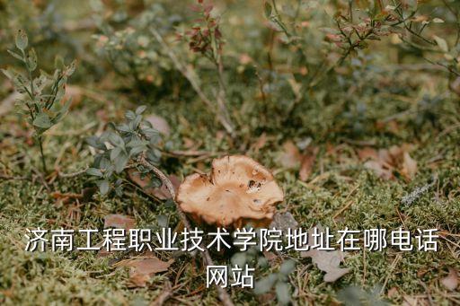  濟南工程職業(yè)技術(shù)學院地址在哪電話網(wǎng)站