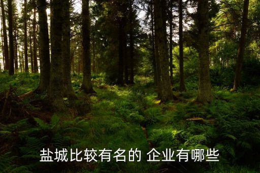 鹽城比較有名的 企業(yè)有哪些