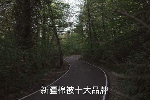 新疆棉被十大品牌