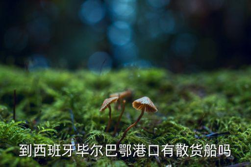 到西班牙畢爾巴鄂港口有散貨船嗎