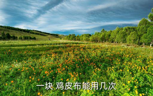 一塊 雞皮布能用幾次