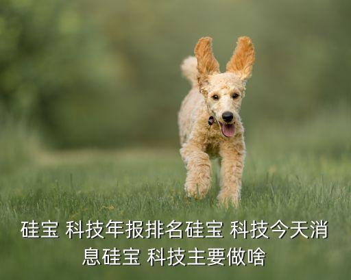 硅寶 科技年報排名硅寶 科技今天消息硅寶 科技主要做啥
