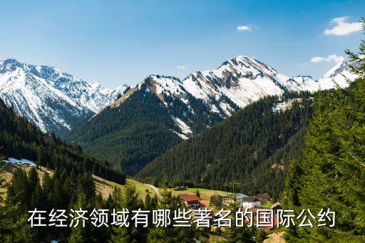 在經(jīng)濟(jì)領(lǐng)域有哪些著名的國際公約