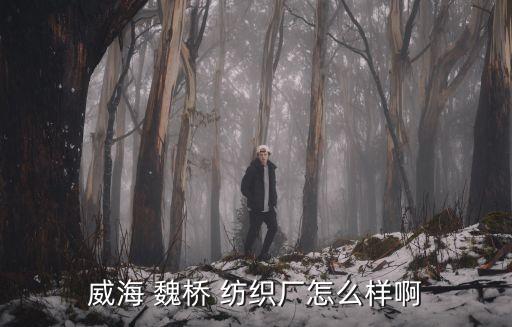 威海 魏橋 紡織廠怎么樣啊