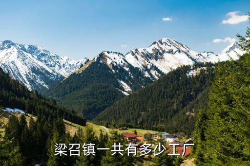 梁召鎮(zhèn)一共有多少工廠