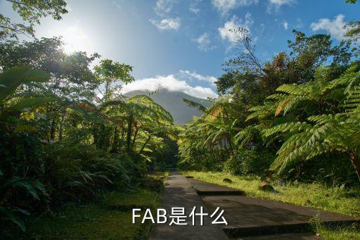 FAB是什么