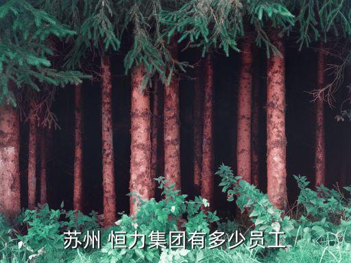 吳江恒力紡織廠工資,宿遷恒力集團(tuán)紡織廠工資怎么樣