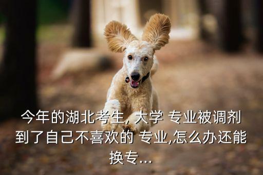 武漢紡織大學(xué)轉(zhuǎn)專業(yè)