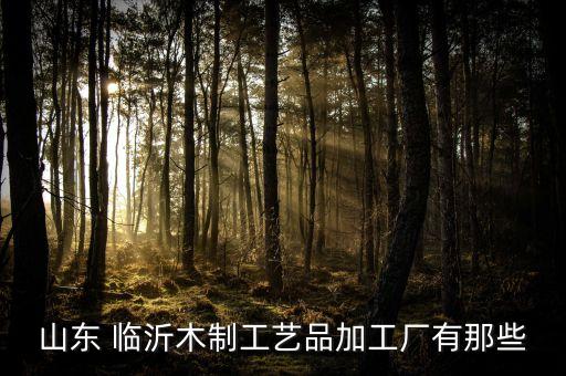 山東 臨沂木制工藝品加工廠有那些