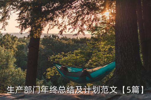 生產(chǎn)部門(mén)年終總結(jié)及計(jì)劃范文【5篇】