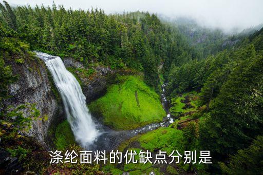 滌綸面料的優(yōu)缺點分別是