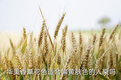 岳陽市華美巾被織造有限公司,昌邑市國宇巾被織造有限公司