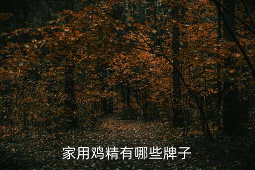 家用雞精有哪些牌子