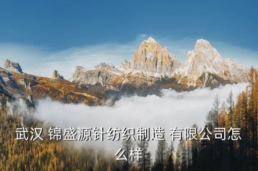 武漢 錦盛源針紡織制造 有限公司怎么樣
