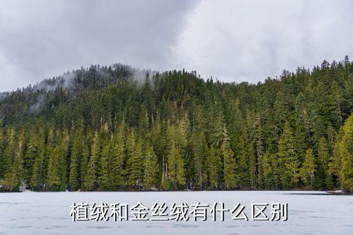  植絨和金絲絨有什么區(qū)別