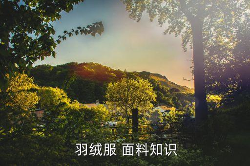 羽絨服的面料有什么名稱