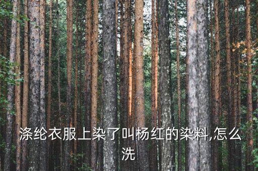  滌綸衣服上染了叫楊紅的染料,怎么洗