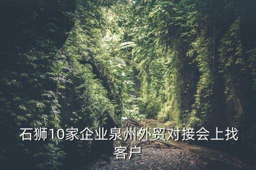  石獅10家企業(yè)泉州外貿對接會上找客戶