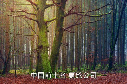 中國(guó)前十名 氨綸公司