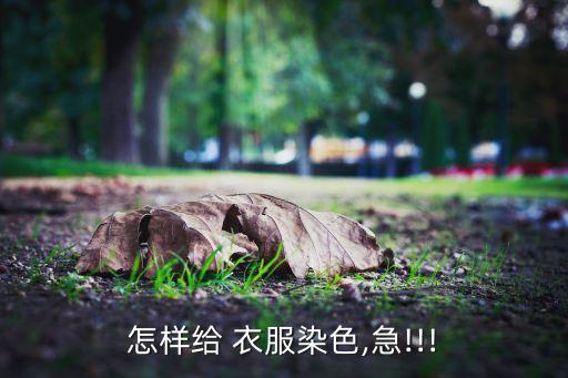 衣服加色滌綸面料加深顏色