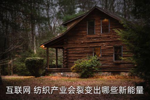 互聯(lián)網(wǎng) 紡織產(chǎn)業(yè)會裂變出哪些新能量