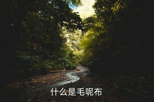 什么是毛呢布