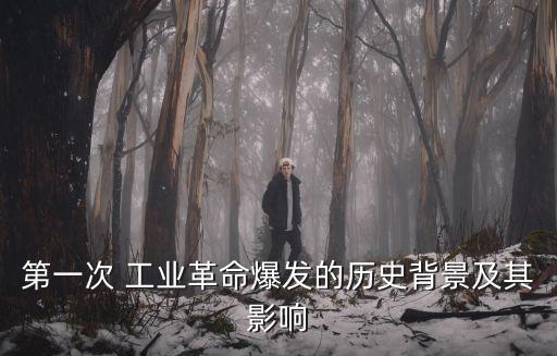 第一次 工業(yè)革命爆發(fā)的歷史背景及其影響