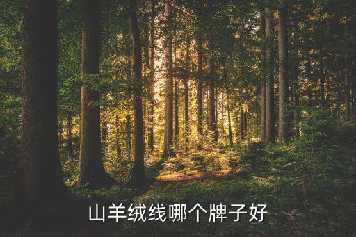 山羊絨線哪個牌子好