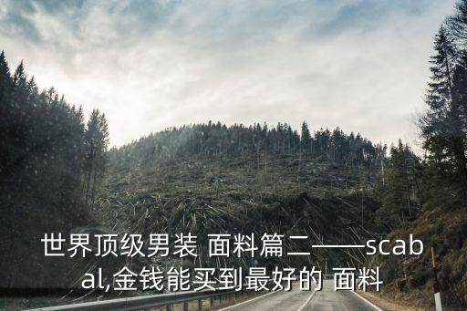 世界頂級男裝 面料篇二——scabal,金錢能買到最好的 面料