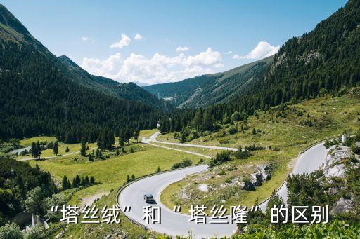“塔絲絨”和“ 塔絲隆”的區(qū)別