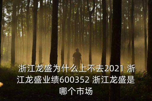  浙江龍盛為什么上不去2021 浙江龍盛業(yè)績(jī)600352 浙江龍盛是哪個(gè)市場(chǎng)