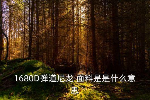 1680D彈道尼龍 面料是是什么意思