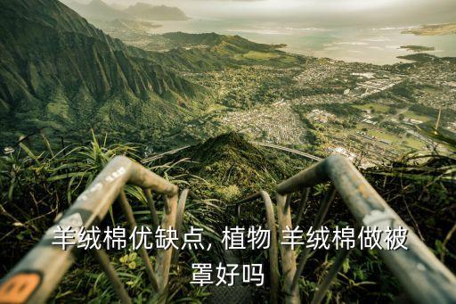  羊絨棉優(yōu)缺點(diǎn), 植物 羊絨棉做被罩好嗎