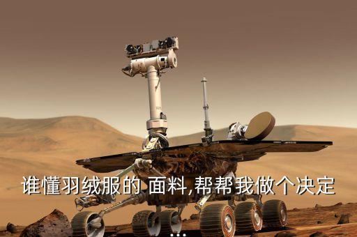 誰懂羽絨服的 面料,幫幫我做個(gè)決定...