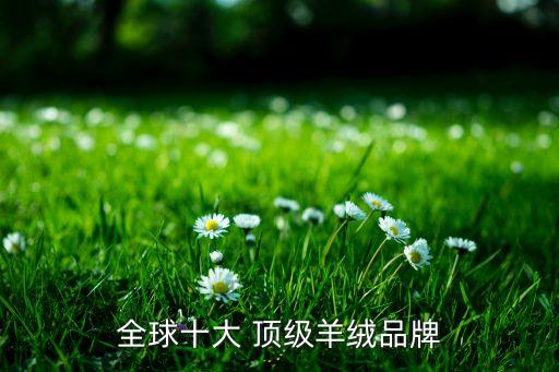 全球十大 頂級羊絨品牌