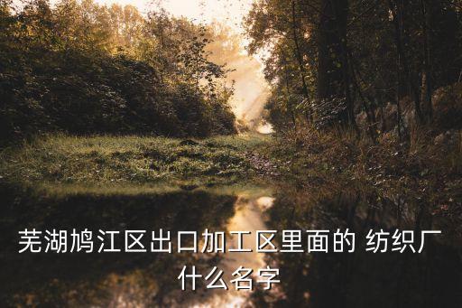 蕪湖鳩江區(qū)出口加工區(qū)里面的 紡織廠什么名字