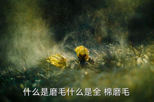 人字尼磨毛面料和全棉磨毛面料