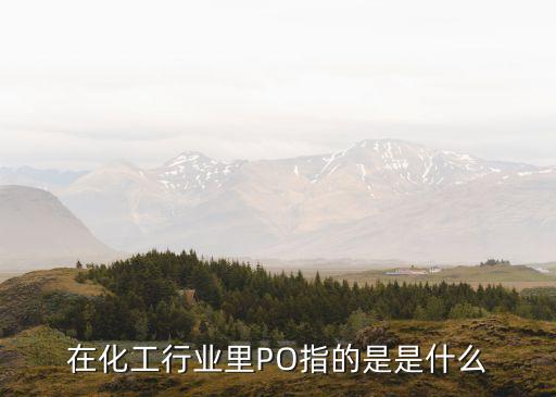 在化工行業(yè)里PO指的是是什么