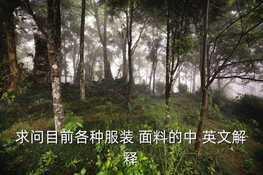 求問目前各種服裝 面料的中 英文解釋
