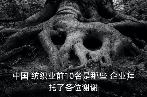 中國 紡織業(yè)前10名是那些 企業(yè)拜托了各位謝謝