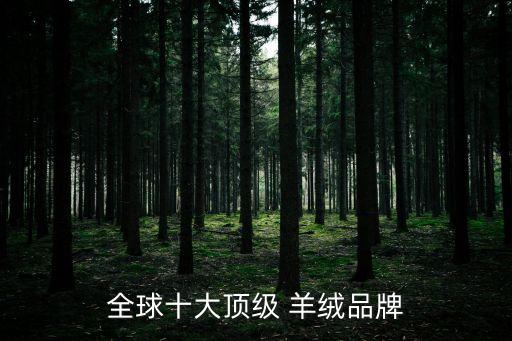 全球十大頂級 羊絨品牌